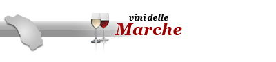 vini_delle_marche-jolly_varese